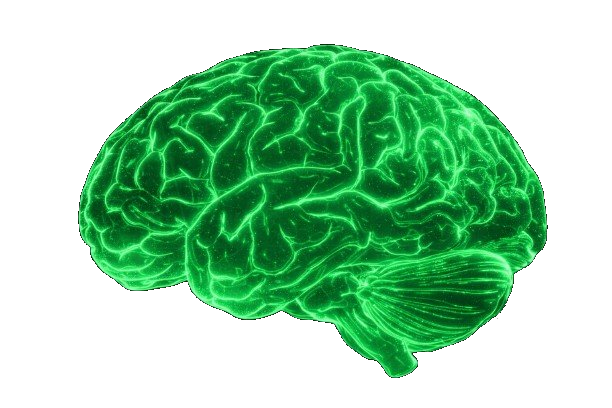 AI Brain